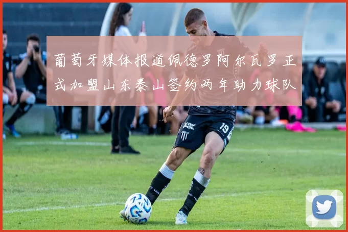 葡萄牙媒体报道佩德罗阿尔瓦罗正式加盟山东泰山签约两年助力球队发展